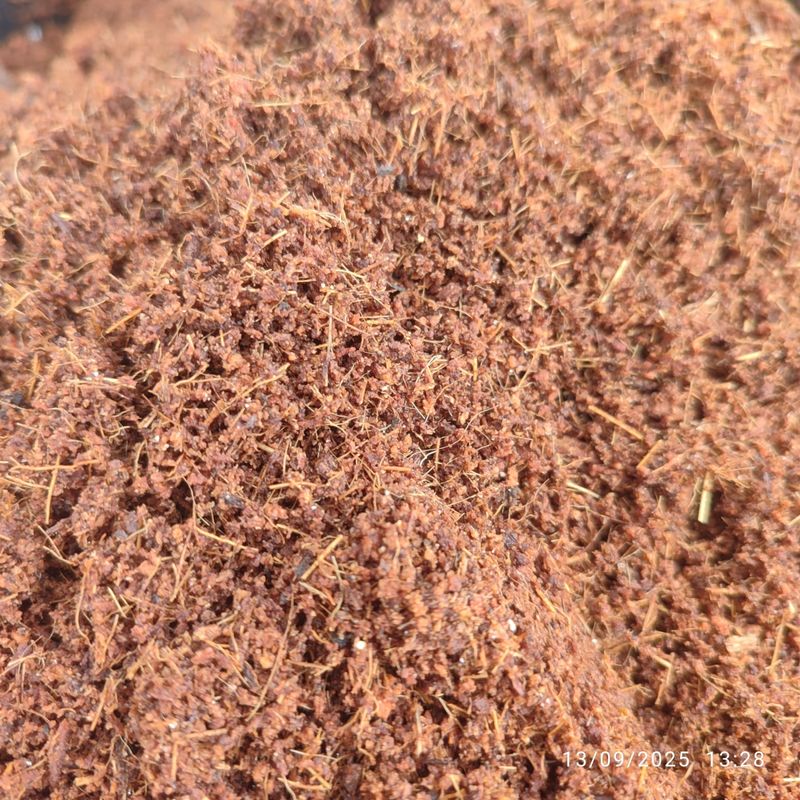 Fibra de coco (1€/L) para plantas y suculentas - Imagen 2